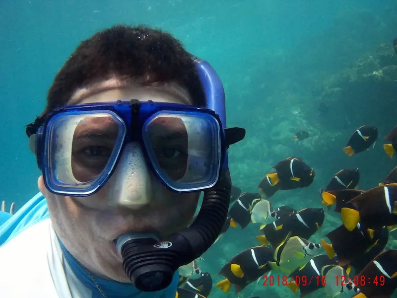 Best Snorkeling in Culebra Puerto Rico (2026)